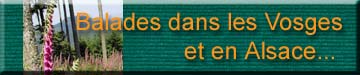 Un des premiers site du genre